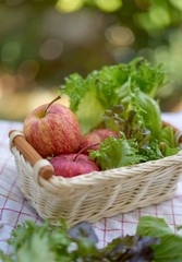 Apple and vegetable in the basket