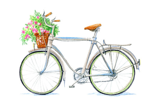 Bicycle and basket with flowers.White background.Watercolor hand drawn illustration.