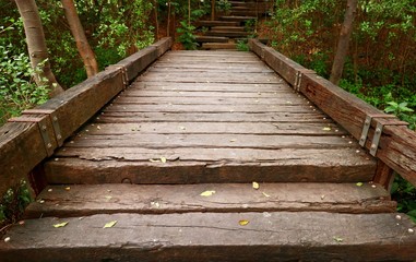 Fototapeta premium Wood bridge in the forest