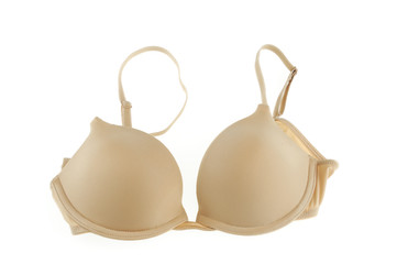 bra isolated on white background
