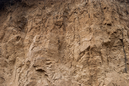 Close-up of a loamy ravine wall as an environmental texture background