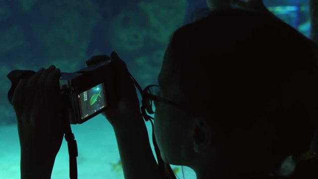 Girl takes pictures of colorful underwater world stock footage video