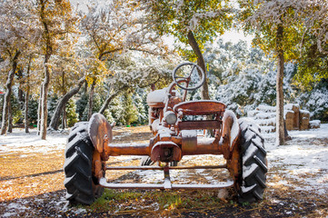Snow Covered Trees and Tractor