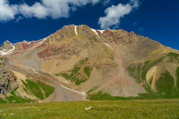Beautiful view of the mountain and the meadow near Lenin Peak