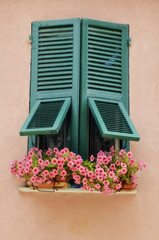 Fototapeta na wymiar Windows of Lucca
