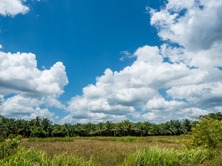 blue sky with the cloud