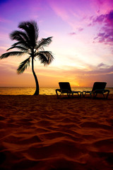 Beautiful sunrise on the ocean coast, palm tree and sun loungers.