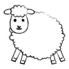 cute sheep character icon