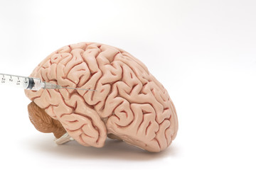 Needle, syringe and human brain model on white background