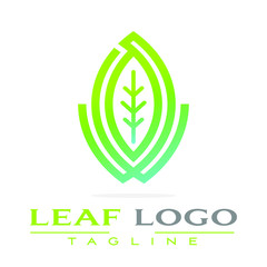 Obraz premium leaf vector logo