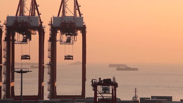 Shanghai Cargo terminal, container ships and lifting cranes at sunset, (Yangshan is one of the world's busiest container port)