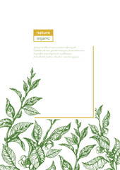 Vector template of organic nature