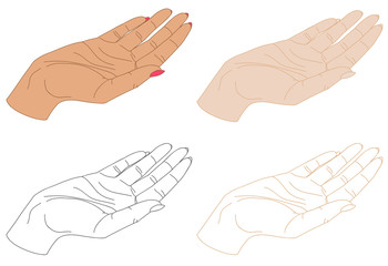 isolated female hand drawings, vector illustration
