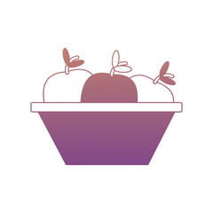 apple fruit icon image