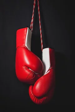 Professional red boxing gloves hanging on black background with copy space.  Stock Photo | Adobe Stock