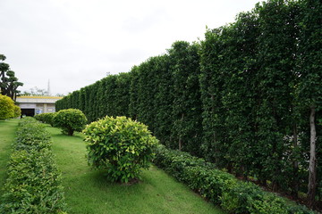 The walkway is part of the park.