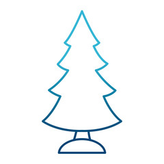 Tree pine isolated