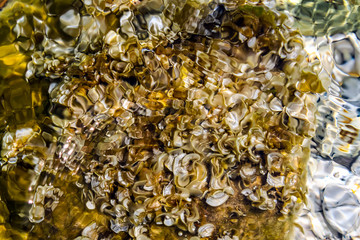 colored stones below sea level near the coast of the Mediterranean Italian island of Elba