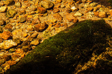 pebble and rocky bottom of the river sunlit