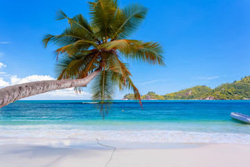 plage des Seychelles à Mahé 