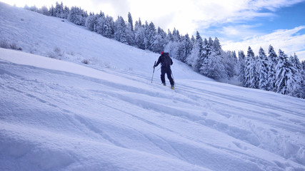 Fototapeta na wymiar ski de randonnée - chartreuse