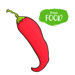Vector illustration of hot pepper. Sketch, color. Vivid picture of a vegetable. Fresh food. 