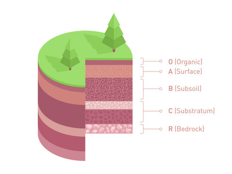 Soil Layers Diagram. Isometric Soil Horizons And Profile. Earth Structure Vector Illustration