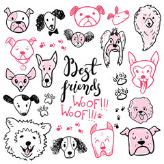 Funny doodle dog icons collection. Hand drawn pet, kid drawn des