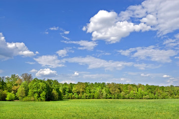 Fields and woods in Yasnaya Polyana, the former estate of the writer Leo Tolstoy