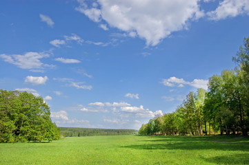 Fototapeta na wymiar Fields and woods in Yasnaya Polyana, the former estate of the writer Leo Tolstoy
