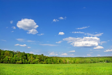 Fields and woods in Yasnaya Polyana, the former estate of the writer Leo Tolstoy