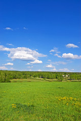 Fields and woods in Yasnaya Polyana, the former estate of the writer Leo Tolstoy