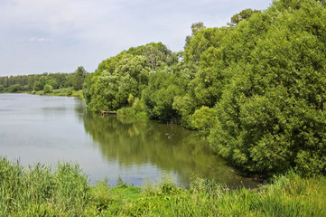 Rural pond