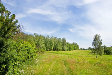 Fototapeta premium Fields and woods in Yasnaya Polyana, the former estate of the writer Leo Tolstoy