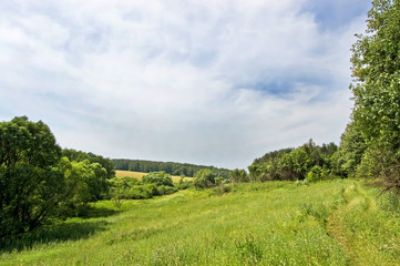 Fototapeta na wymiar Fields and woods in Yasnaya Polyana, the former estate of the writer Leo Tolstoy