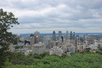 Fototapeta na wymiar Skyline Park Mont Royal Montreal Canada