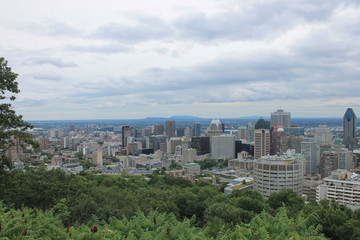 Fototapeta premium Skyline Park Mont Royal Montreal Canada