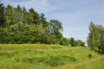 Fields and woods in Yasnaya Polyana, the former estate of the writer Leo Tolstoy