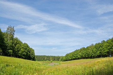 Fields and woods in Yasnaya Polyana, the former estate of the writer Leo Tolstoy