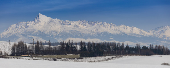 Krivan hil at winterl, High Tatras, national symbol of Slovakia