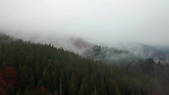 Aerial view of the mountains with a morning fog