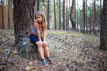 Little beautiful girl sitting on a stump in a pine forest