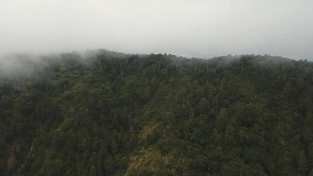 Mountain forest in the fog and clouds. Aerial view of over tropical rainforest mountains with white fog, clouds Bali, Indonesia. Low lying cloud over evergreen forests. 4K Aerial footage.