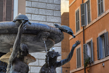 Rome, Lazio region, Italy. Piazza Mattei, in the Sant'Angelo district Detail of the turtle...