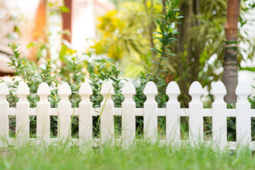 Small garden fence