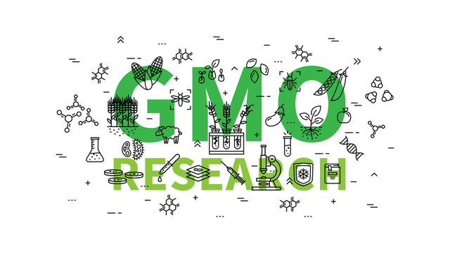 GMO research vector illustration. Genetically modified organism (GMO) line art concept.