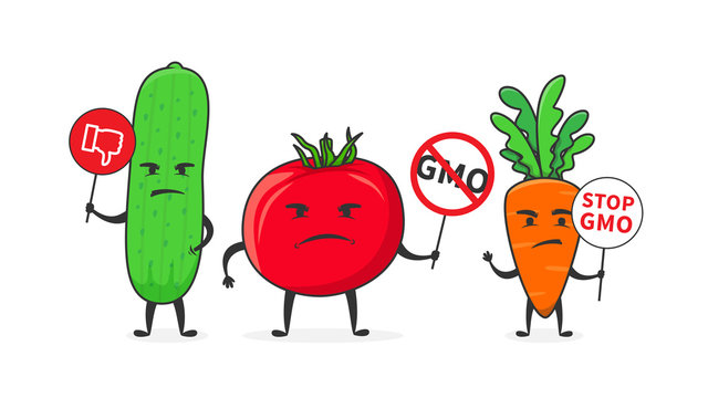 Vegetables say stop gmo vector illustration. Cucumber, tomato and carrot oppose GMO food creative concept.
