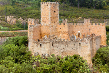 Fototapeta premium Almourol Castle