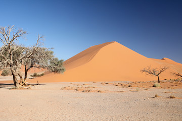 Fototapeta na wymiar Düne 45.Where: Bei Sossuvlei, Namib-Wüste, Namibia.