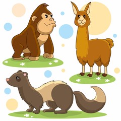 A set of cartoon pictures for children and design. Image of a chimpanzee, ferret and llama.